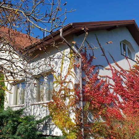 Villa Borowe Kt Warka Exterior foto