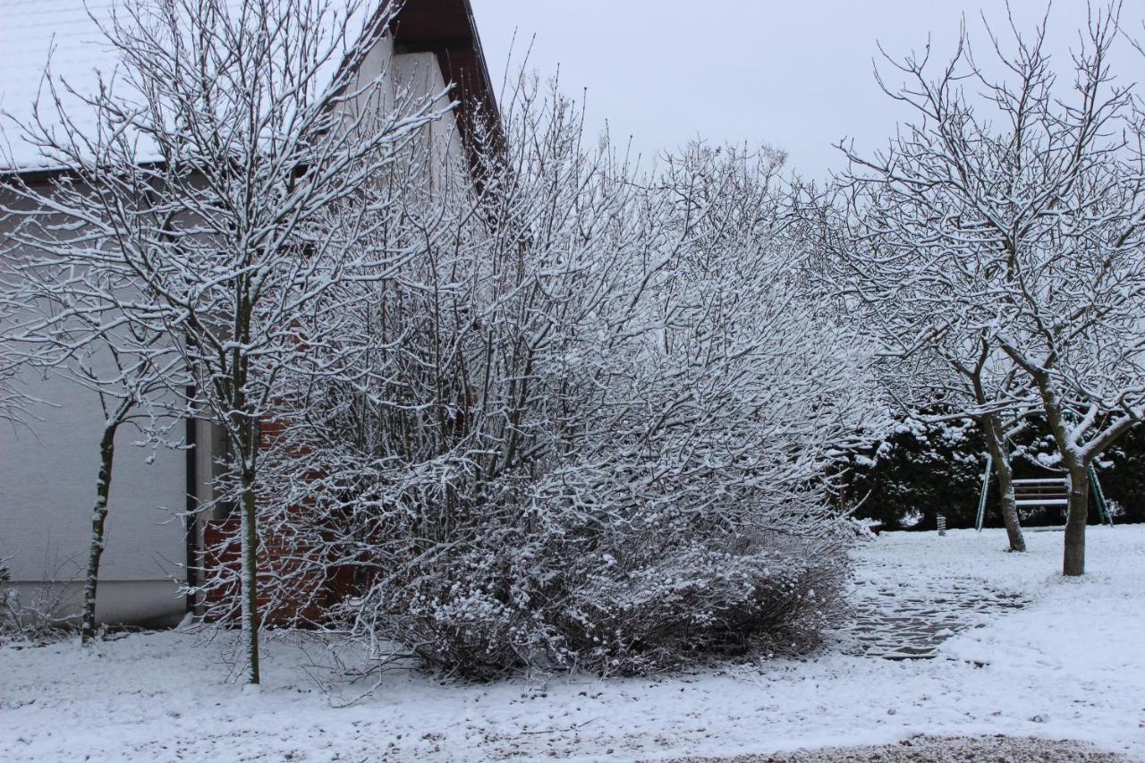 Villa Borowe Kt Warka Exterior foto